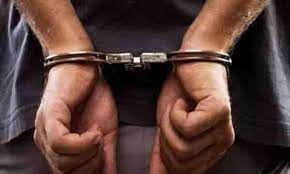 नेपाल में सोना तस्करी मामले में चार चीनी नागरिक पांच दिन की पुलिस रिमांड पर