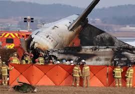 दक्षिण कोरिया: मुआन अंतर्राष्ट्रीय हवाई अड्डे पर विमान दुर्घटना में पक्षी का टकराना संभावित कारण सामने आया