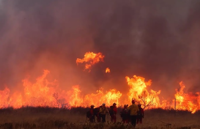 लॉस एंजिल्स के उत्तर में आग लगने से दहशत 