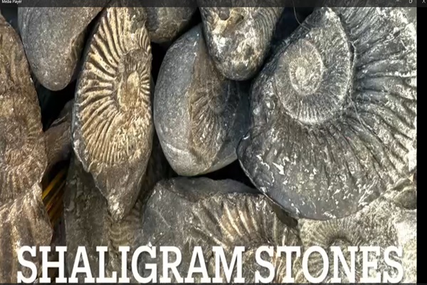 नेपाल: मुस्तांग में अवैध रूप से प्राप्त 34 बोरी शालिग्राम पत्थर जब्त