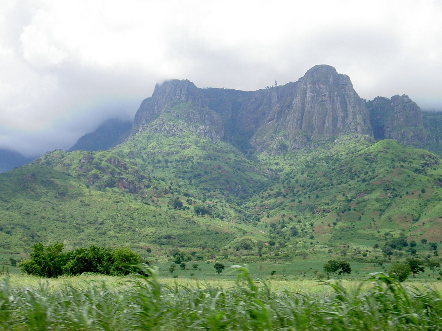  2030 तक वनों की कटाई समाप्त करने के लिए ठोस रोडमैप की मांग