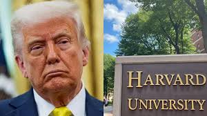 हार्वर्ड विश्वविद्यालय पर संघीय जांच न मानने का आरोप, ट्रंप प्रशासन ने बोस्टन अदालत में कार्रवाई शुरू की