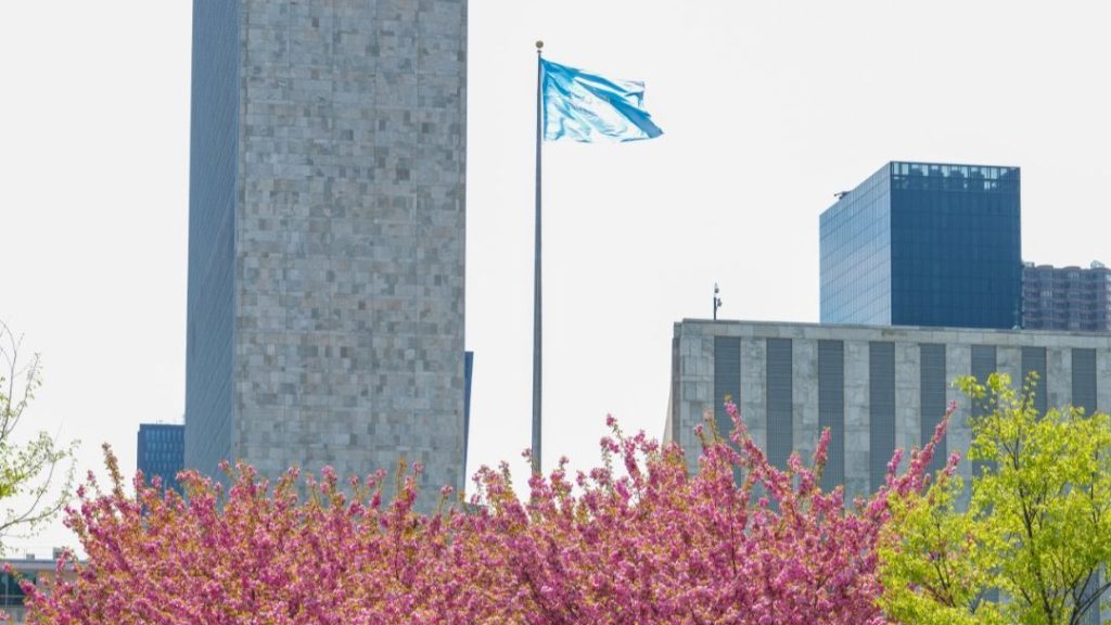 राष्ट्रीय नीति नीति संधि पर पक्षकारों का 2026 समीक्षा सम्मेलन आज न्यूयॉर्क में शुरू हो रहा है।