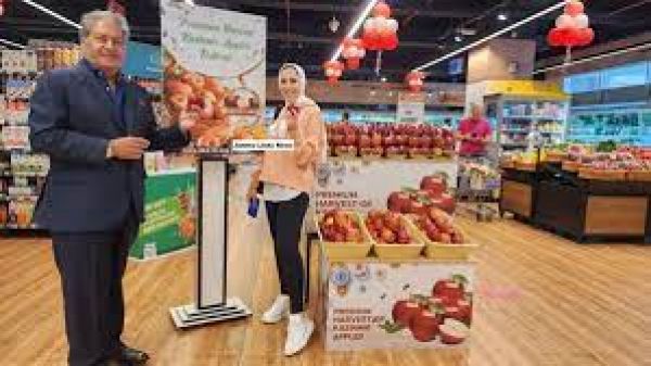 Kashmiri apples make an appearance at UAE supermarkets