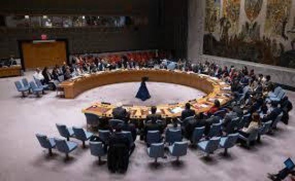 पाकिस्तान, पनामा, सोमालिया, डेनमार्क और यूनान बने संयुक्त राष्ट्र सुरक्षा परिषद के अस्थायी सदस्य