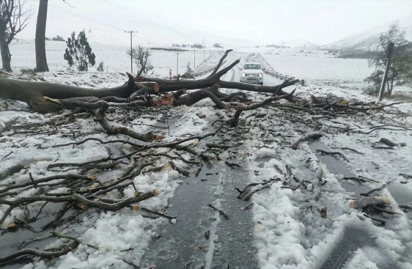  दक्षिण अफ्रीका में भयंकर बाढ़ से अब तक 49 लोगों की मौत, आंकड़ा और बढ़ने की आशंका