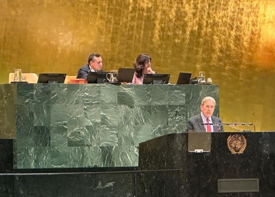 फिलिस्तीनी राज्य को मान्यता देने से न्यूजीलैंड का इनकार, विदेश मंत्री विंस्टन पीटर्स का बयान