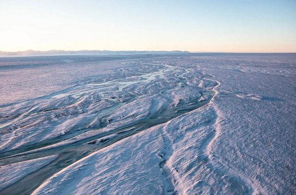 अमेरिका में अलास्का के जंगलों में होगा उत्खनन, तेल और गैस निकालने का दिया जाएगा पट्टा