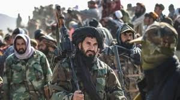  पाकिस्तान में विद्राेहियाें के हमले में 7 की मौत