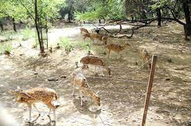 हौज खास स्थित डियर पार्क की मान्यता रद्द, केन्द्रीय चिड़ियाघर प्राधिकरण ने लिया फैसला