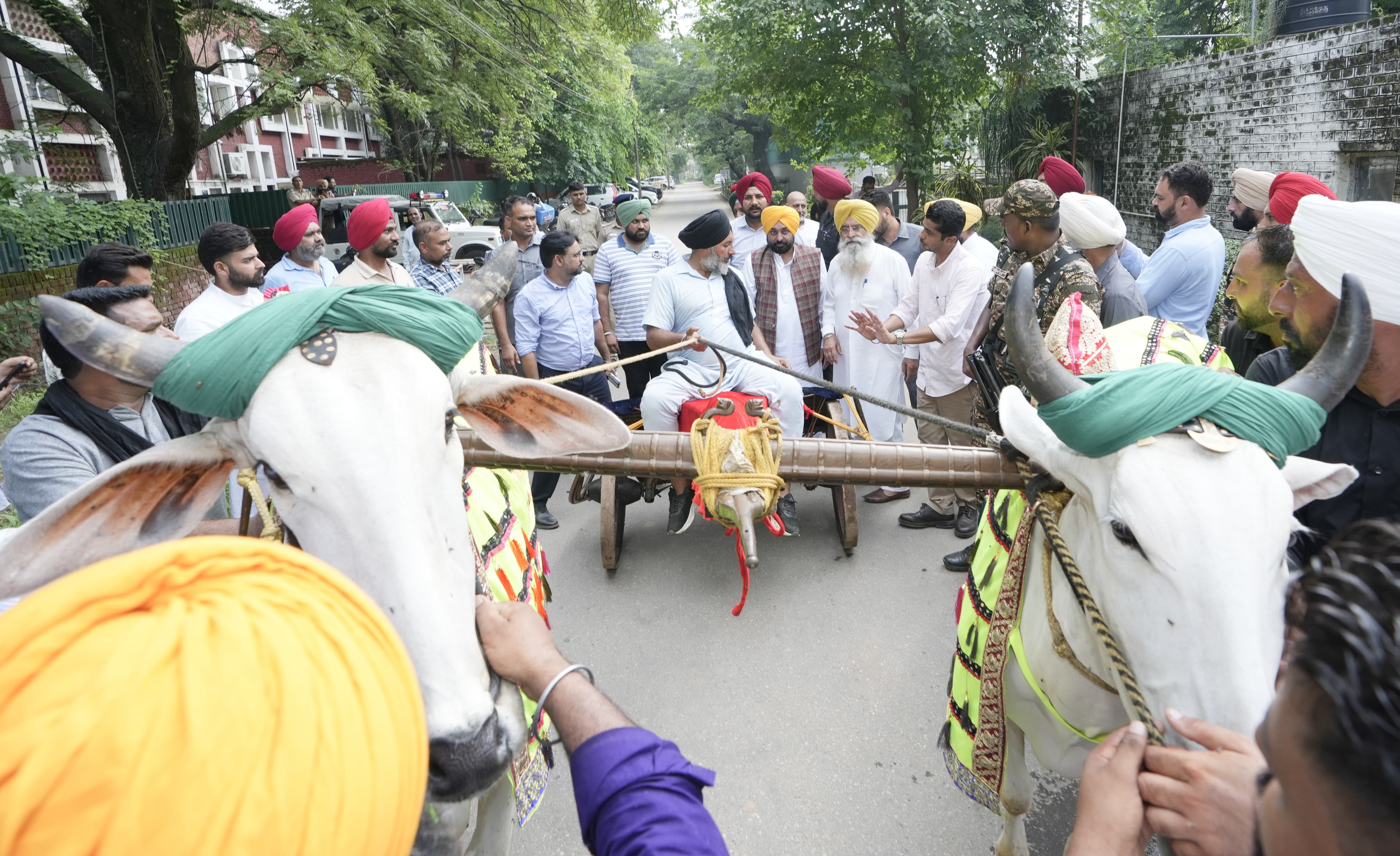 पंजाब में फिर शुरू हाेगी बैलों की दौड़, विधानसभा में विधेयक पारित