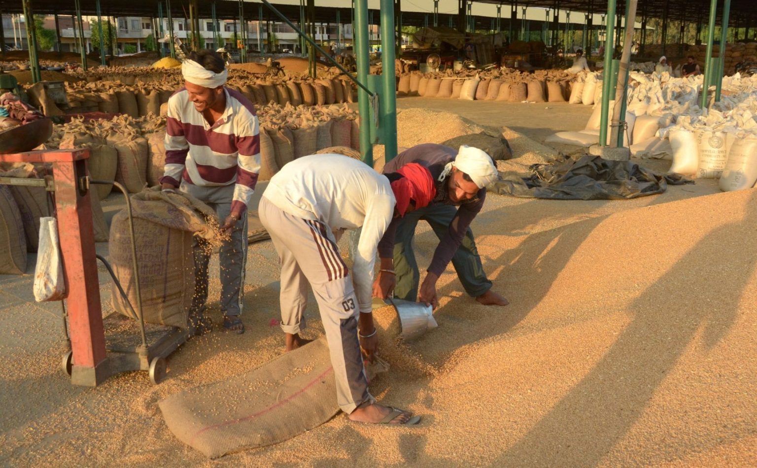 सहकारी क्षेत्र में विश्व की सबसे बड़ी अनाज भंडारण योजना का पायलट चरण 11 राज्यों में पूरा