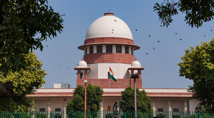 दिल्ली सरकार ने सुप्रीम कोर्ट के आदेश का किया स्वागत, आवारा कुत्तों और रेबीज़ नियंत्रण को बताया अहम कदम