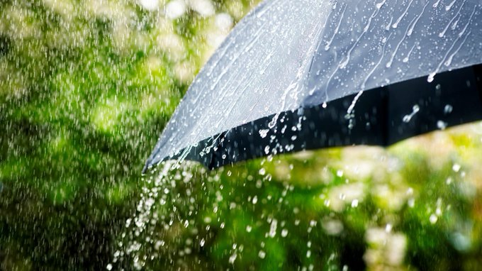  IMD ने कई राज्यों में भारी वर्षा की चेतावनी जारी की