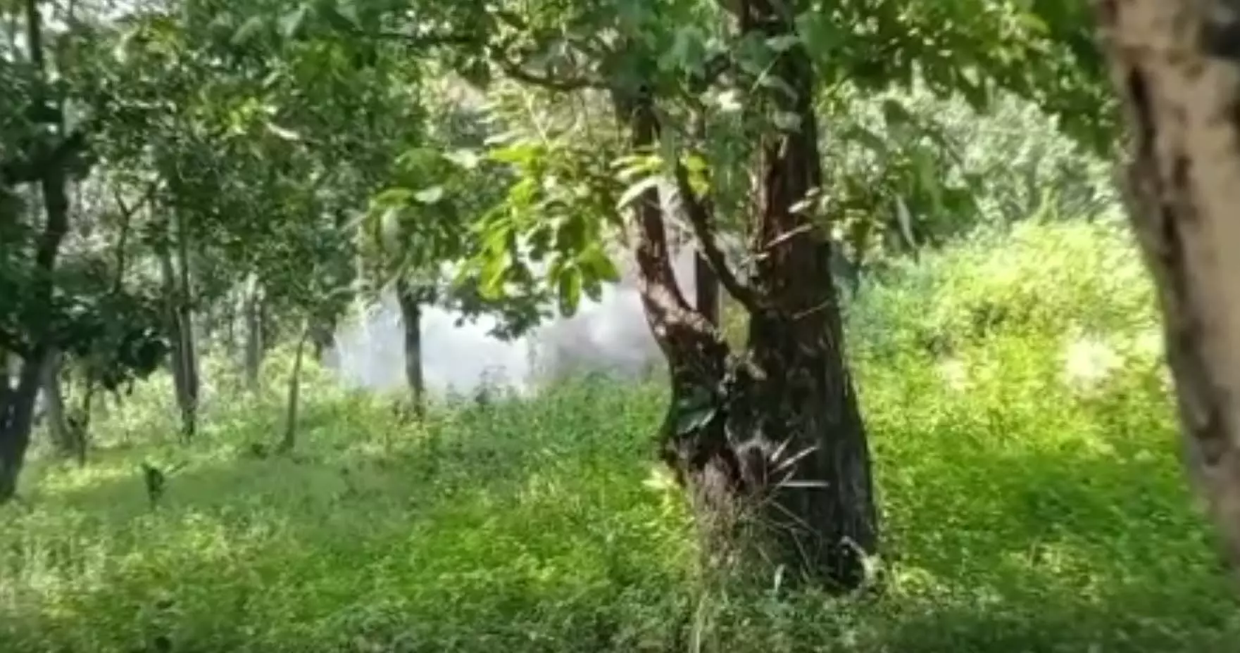 छत्तीसगढ़ के बीजापुर में सुरक्षाबलों ने टिफिन बम और बीजीएल सेल आईईडी को किया निष्क्रिय