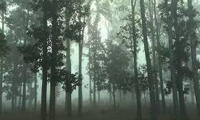 ओडिशा में दारिंगीबाडी 8.5 डिग्री सेल्सियस के साथ सबसे ठंडा, अगले दिनों में हल्की बढ़ोतरी की संभावना