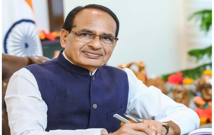 भारत में खाद्यान्न उत्पादन 8% बढ़ा; चावल और गेहूँ ने बनाया नया रिकॉर्ड