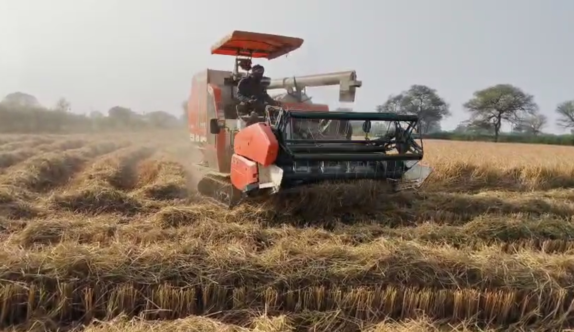 धमतरी : अंचल में धान कटाई-मिजाई का कार्य जोरों पर