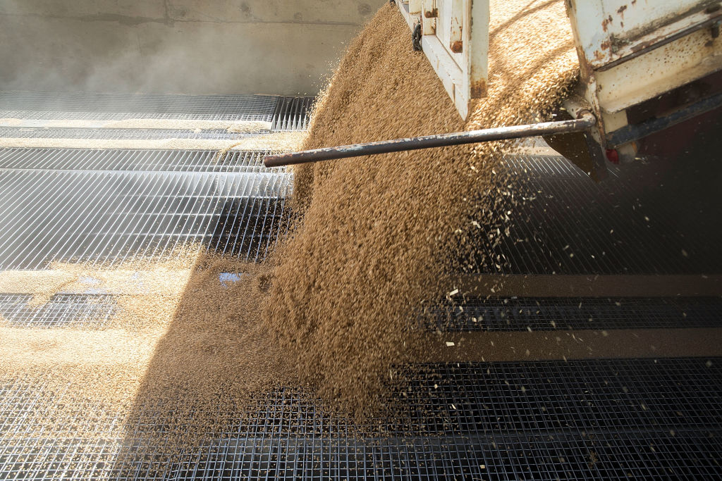 रबी सीजन में बुआई का कुल क्षेत्रफल 479 लाख हेक्टेयर पार, पिछले वर्ष से 27.89 लाख हेक्टेयर अधिक