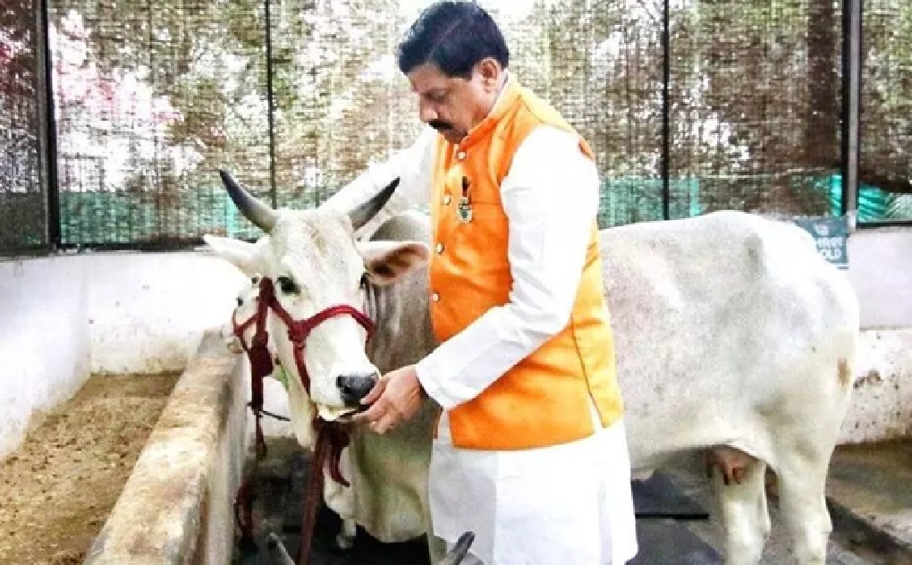   दुग्ध उत्पादन में आत्मनिर्भरता की मजबूत नींव, 2025 में &lsquo;कामधेनु क्रांति&rsquo; का आगाज