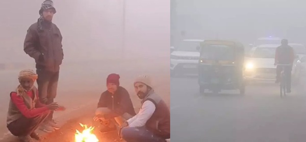 सर्द हवाओं से कांपा मध्&zwj;य प्रदेश, कोहरा और कड़ाके की ठंड जारी, 11 शहरों में दिन का पारा 20 डिग्री से नीचे