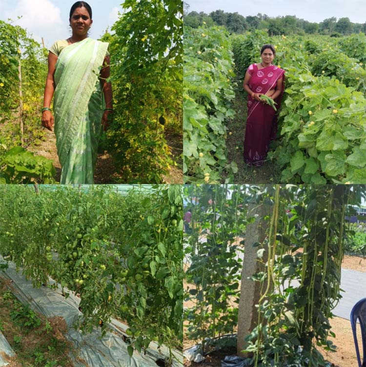 राष्ट्रीय ग्रामीण आजीविका मिशन : कर्ज के बोझ से मुक्त होकर आत्मनिर्भर बनी सुष्मिता