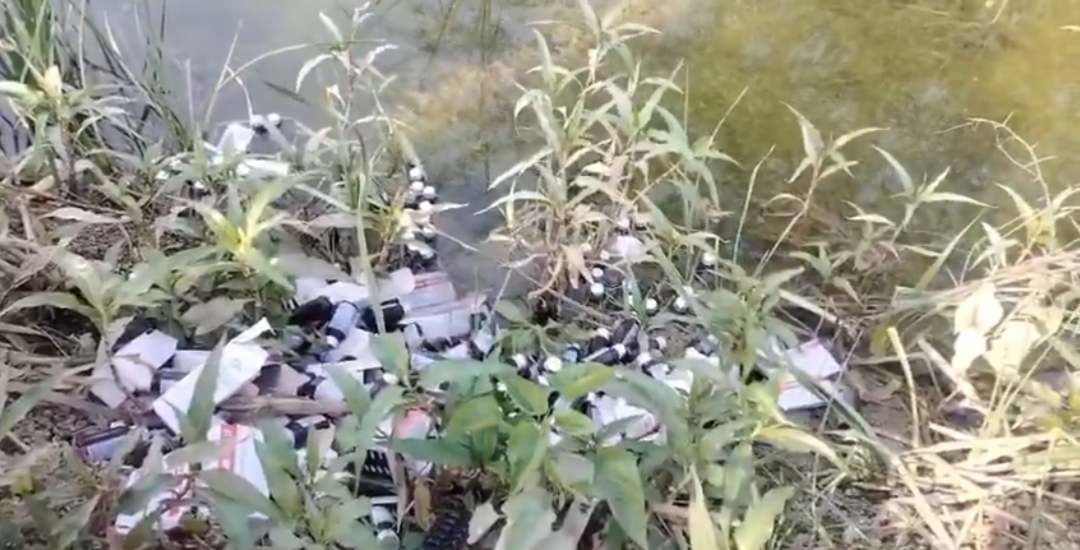 जालौन की नहर में बहती मिली सरकारी दवाएं, सीएमओ ने शुरू की जांच