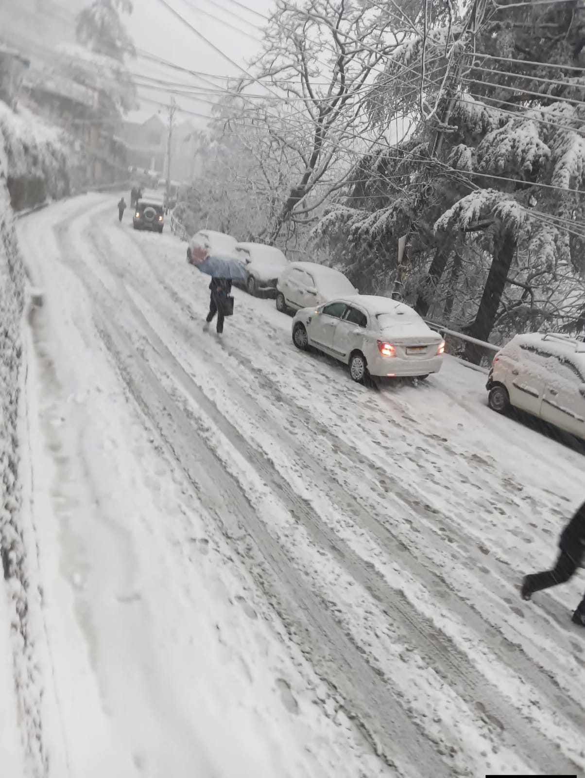 हिमाचल में सीज़न की पहली भारी बर्फ़बारी, शिमला&ndash;मनाली में झूमे सैलानी, अप्पर शिमला का टूटा संपर्क