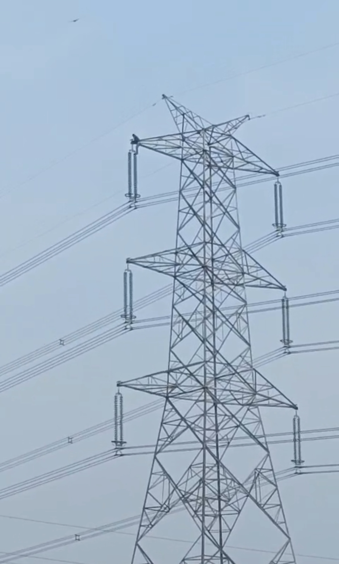 धान नहीं बिकने से टूट गया किसान का सब्र, टावर पर चढ़कर किया प्रदर्शन