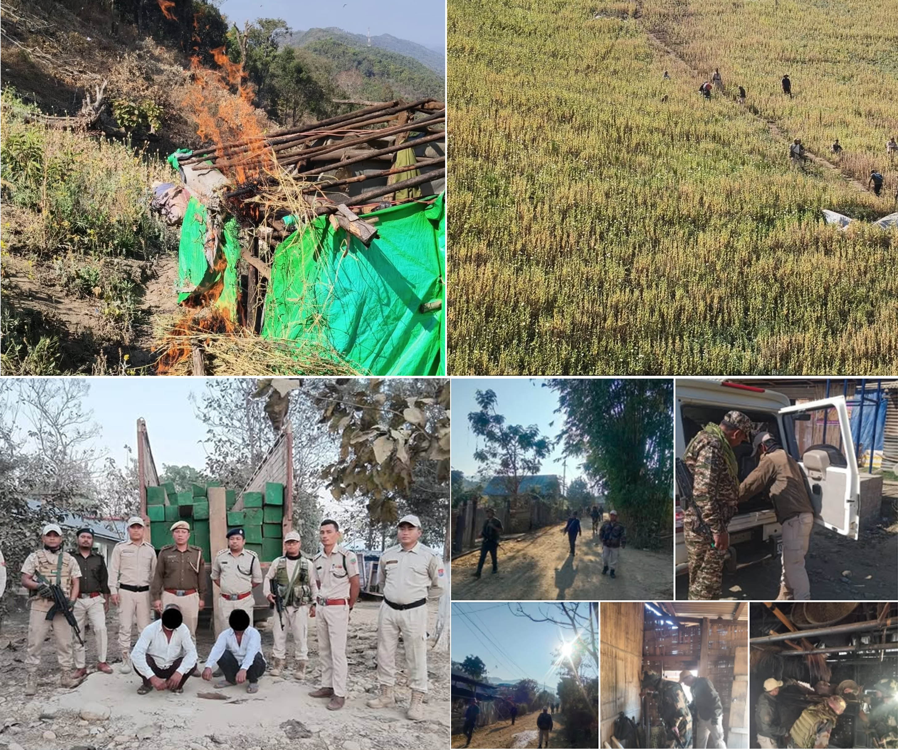 मणिपुर में 20 एकड़ अफीम की खेती नष्ट, अवैध लकड़ी के साथ दो गिरफ्तार