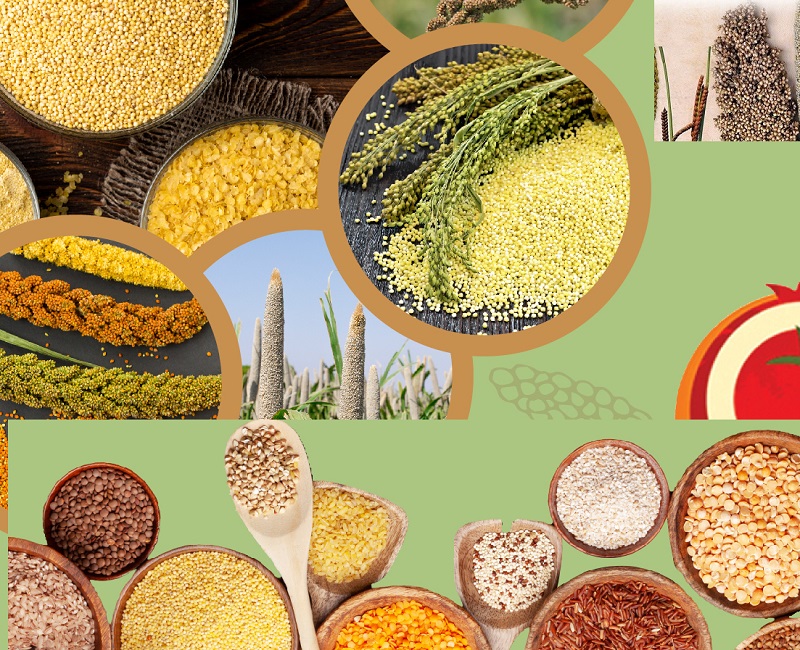 खंडवा में दो दिवसीय मिलेट्स मेला एवं कृषक सम्मेलन आज से