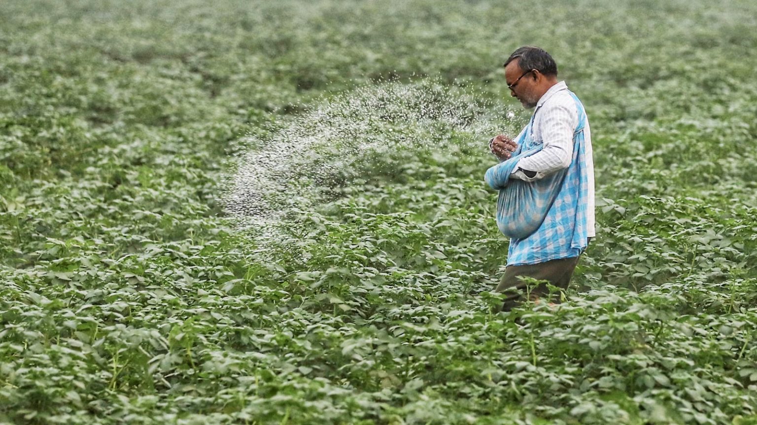 उपलब्धता सुनिश्चित करने के लिए सरकार ने उर्वरक आयात बढ़ाया