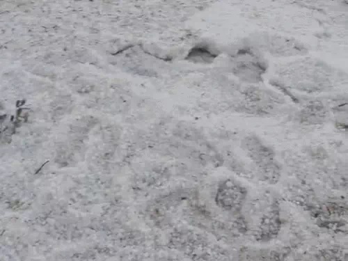 राजस्थान में फिर बदलेगा मौसम, 13 जिलों में आंधी-बारिश और ओलावृष्टि का अलर्ट