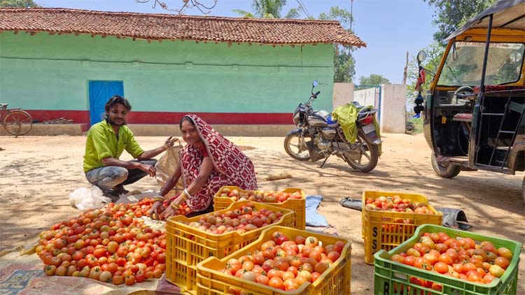 साय सरकार की पहल से सशक्त हुई महिलाएं : हमेश्वरी बनीं &ldquo;लखपति दीदी&rdquo;