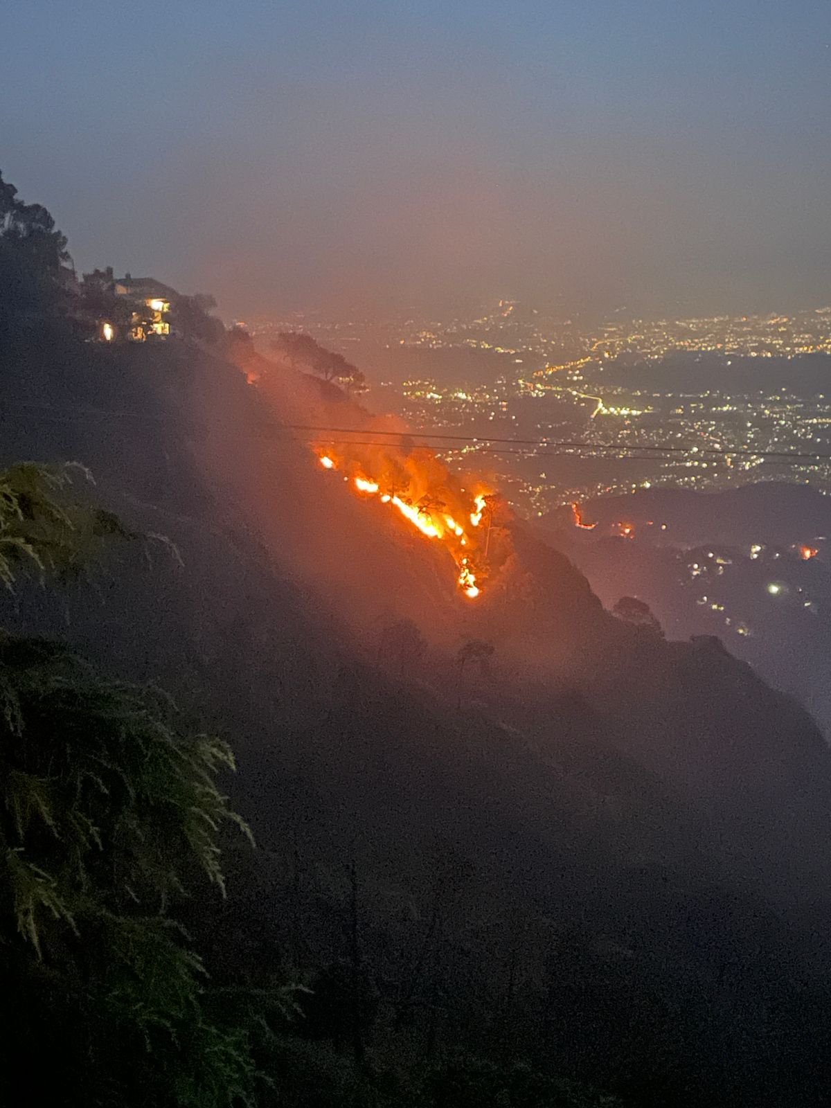 हिमाचल प्रदेश के जंगल धधके, 43 दिनों में 258 आग की घटनाएं, हजारों हेक्टेयर वन भूमि राख