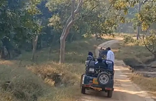 मप्र के पेंच को मिलेगा बायो स्फीयर रिजर्व का दर्जा, यूनेस्को को प्रस्ताव भेजेगी सरकार