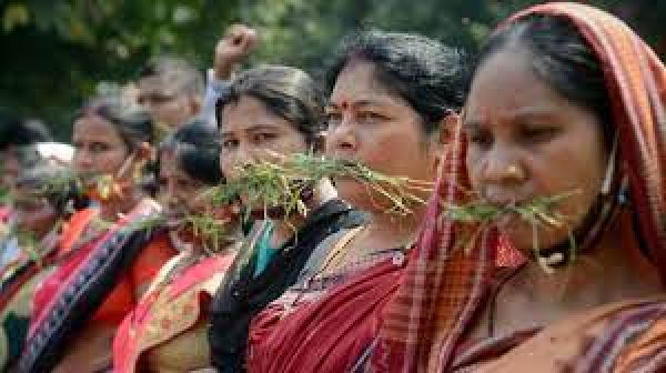 Women lead the battle in Odisha's Nayagarh for forest rights