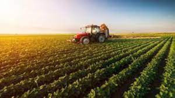 Punjab seeks financial assistance for solarisation of agri-pumps with 15 HP capacity