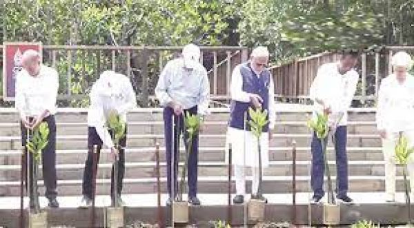 प्रधानमंत्री मोदी ने जी -20 नेताओं के साथ मैंग्रोव वन का दौरा किया