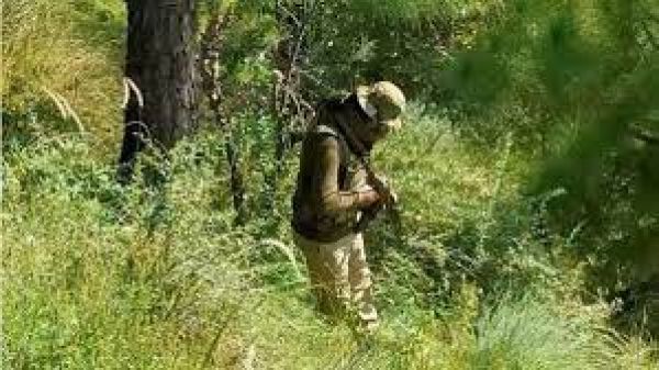 पुंछ के वन क्षेत्र में सुरक्षाबलों ने चलाया तलाशी अभियान