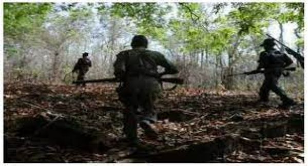 छत्तीसगढ़ के सुकमा में सुरक्षाबलों से मुठभेड़ में इनामी नक्सली दंपति ढेर