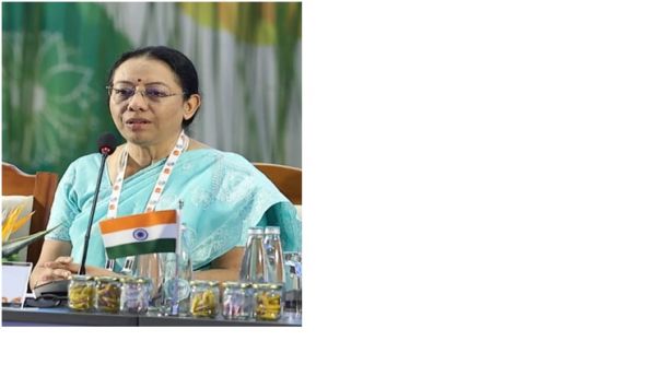 तीसरी जी20 स्वास्थ्य कार्य समूह की बैठक का समापन, चिकित्सा के क्षेत्र में वैश्विक सहयोग मजबूत करने पर रहा जोर