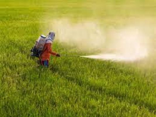 कैबिनेटः केन्द्रीय मंत्रिमंडल ने पीएम प्रणाम योजना को मंजूरी दी