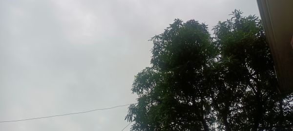 उत्तराखंड में पहाड़ से लेकर मैदान तक बारिश का कहर,13 जुलाई तक अलर्ट जारी