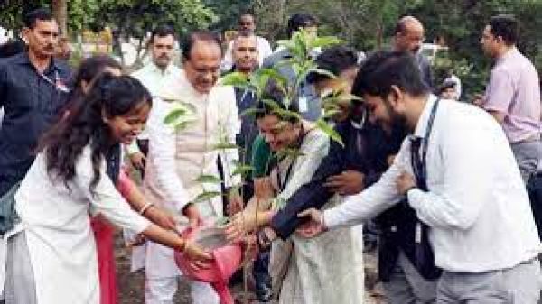 मप्रः मुख्यमंत्री शिवराज ने सारणी में लगाया मौलश्री का पौधा