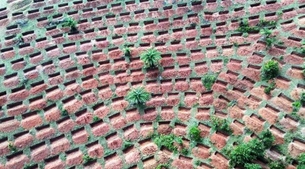  भू-जल स्तर बढ़ाने और जल संरक्षण के लिए पहाड़ी ढलानों पर 3620 संरचनाओं का निर्माण
