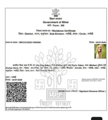 बिहार के पटना में 'डॉग बाबू' के नाम से बना निवास प्रमाण पत्र किया गया रद्द