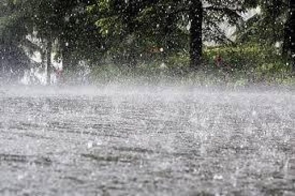 महाराष्ट्र के कई जिलों में बारिश को लेकर अगले 24 घंटों के लिए ऑरेंज अलर्ट