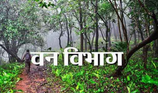 छत्तीसगढ़ : वन विभाग की नई पहल: युवाओं के लिए