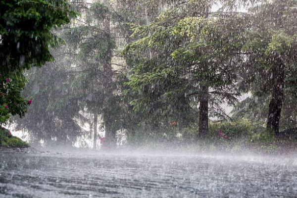 भारी बारिश के अलर्ट के बाद 14 तक राेकी गई बदरीनाथ व हेमंकुड यात्रा